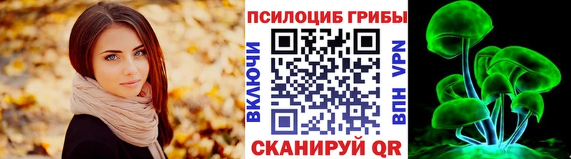 Купить где  Мичуринск  Псилоцибиновые грибы Magic Shrooms 